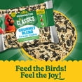 thumbnail image 6 of Pennington Premium Gourmet Wild Bird Seed Cake, Bird Food, 2 lb, 1 Pack, Dry, 6 of 12