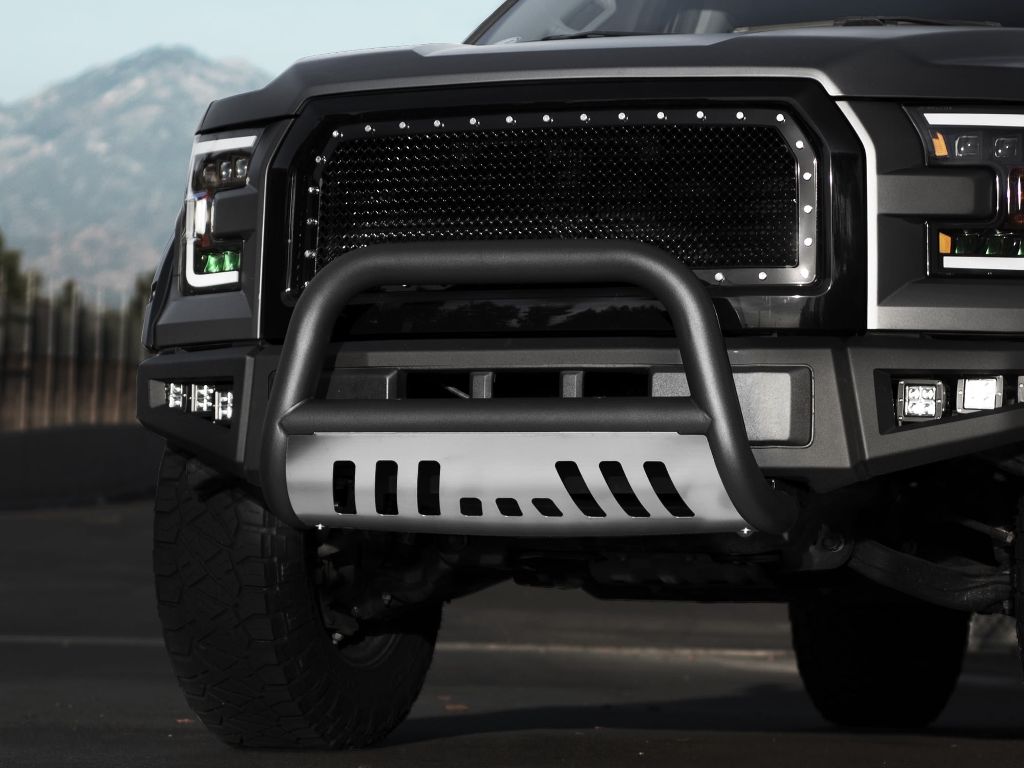 Chrome Armordillo USA 7142619 Classic Bull Bar Fits 2008-2010 Ford E-Series