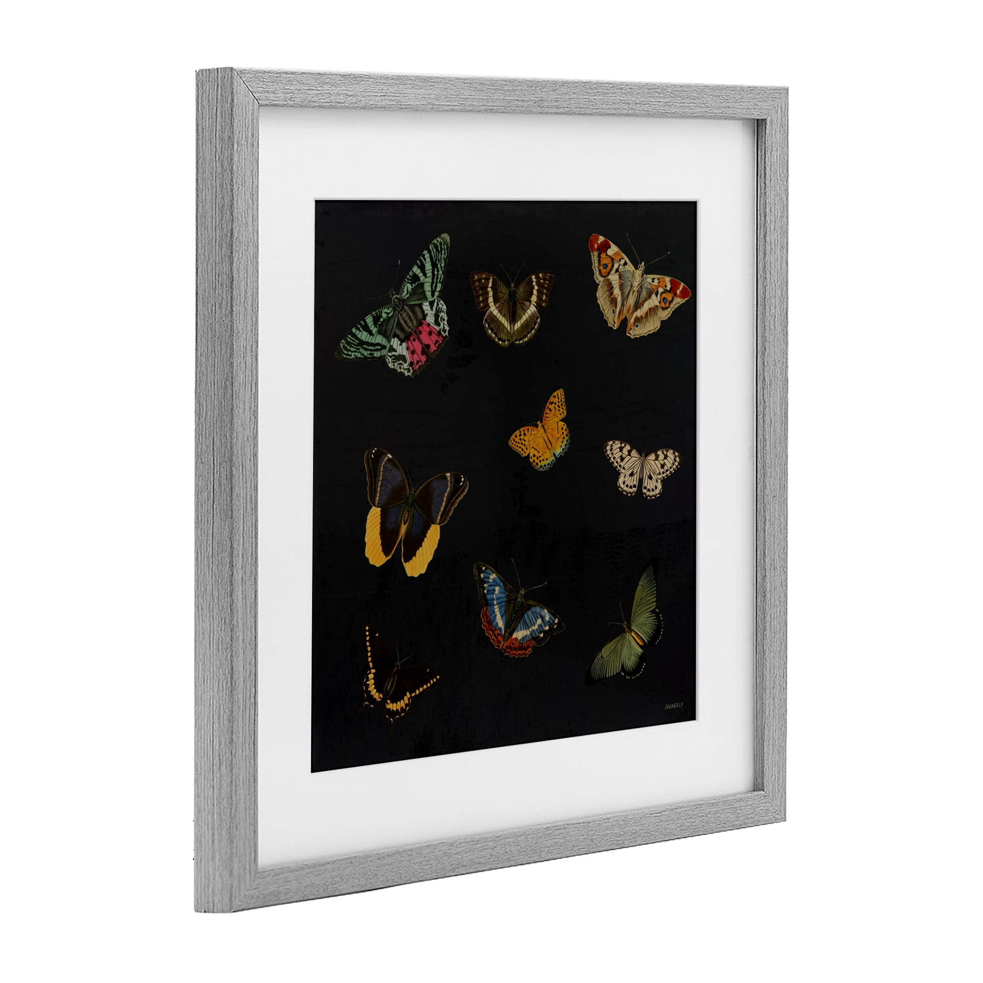 Stupell Industries Butterfly & Moth Collection Gray Framed Print Under Glass, design by Dan Meneely