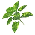thumbnail image 2 of Artificial Plant Leaf Home Office Greenery Decor Wedding Party Plastic Fake Plant, Green, Evergreen, 2 of 8