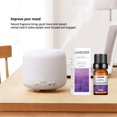 thumbnail image 5 of 10ml de incienso Soluble en agua aceite esencial lavanda árbol de té limón rosa océano aroma humidificadores refrescante relajarse liberar estrés, 5 of 5