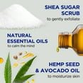 thumbnail image 4 of Dr Teal's Shea Sugar Body Scrub, Cannabis Sativa Hemp Seed Oil with Essential Oils, 19 oz, 4 of 11