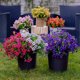 thumbnail image 5 of 12 Manojos de Flores Artificiales de Otoño, Decoración de Otoño Al Aire Libre a Prueba de Decoloración para Porche, Jardín, Patio, Sala de Estar, Recámara - Arreglo Floral Decorativo Multiusos, 5 of 10