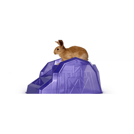 JW Pet Walk Up Barn Indoor Small Animal Toy for Small Breeds, Large, Assorted