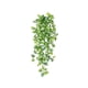 thumbnail image 2 of Colgante de Pared Verde Artificial, Decoración de Interiores, Colgante de Pared de Plástico Verde, Flor Colgante de Pared, Falso Verde, 2 of 6