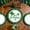 B, variant on Large Disposable Plates St Patricks Day Plates 9 Inch, 10-Count Disposable Party Plates, Large Holiday Dinner Plates, Themed Paper Plates for Festive Events, Bulk Partyware