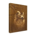 thumbnail image 2 of Trademark Fine Art 'The Witness' Canvas Art by Peggy Harris, 2 of 3
