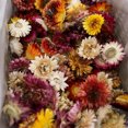 thumbnail image 4 of Dried Flowers Flower Bouquet Dried Flowers Natural Dried Flowers Decorative Bouquet Dried Natural Dried Flowers Embossed DIY Preserved Flowers Floral Decoration, 4 of 4