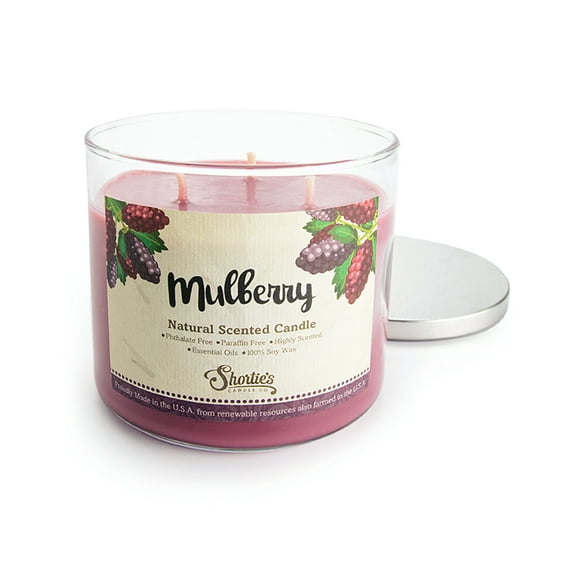 Mulberry All Natural 3 Wick Candle - Made with Responsibly Sourced Soy and Essential Fragrance Oils - Phthalate & Paraffin Free, Vegan, Non-Toxic