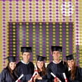 thumbnail image 2 of Opvise Graduation Rain Curtain with Bachelor's Hat Design - Purple & Gold Tassel Backdrop for 2025 Graduation Party Decor, Photo Prop, Stage Decoration - PET Material Gold & Purple, 2 of 8