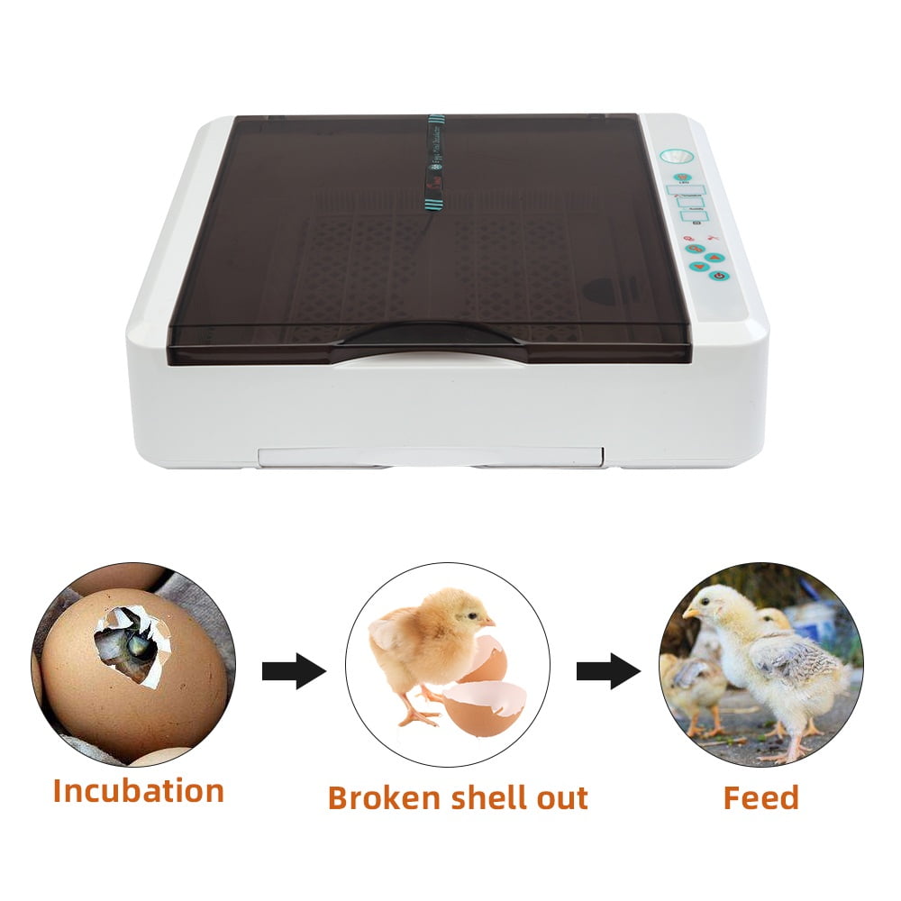 Private Jungle Egg Incubator with Automatic Egg Turning and Pull-out Water Tray for 36 Chicken Duck Bird Quail Goose Eggs Private Jungle Egg Incubator with Automatic Egg Turning and Pull-out Water Tray for 36 Chicken Duck Bird Quail Goose Eggs