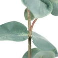 thumbnail image 3 of Vickerman FA188101 27 Po. Vaporisateur Eucalyptus Vert, 3 of 3
