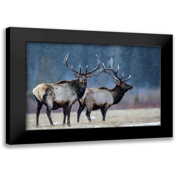 Verdon 24x17 Black Modern Framed Museum Art Print Titled - First snow