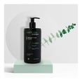 thumbnail image 3 of Jabón para manos Santuarie Essence Eucaliptus 500ml, 3 of 4