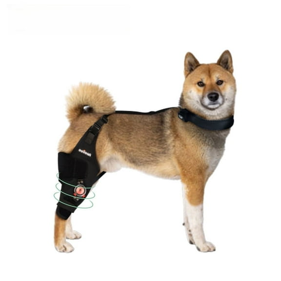 AeeGee Dog Knee Brace,Ideal for Knee Injuries or Post - Surgery Recovery,Features Adjustable Hinge Stabilizer for Flexion & Extension,Relieves Joint Pain,Promotes Hind Leg Recovery