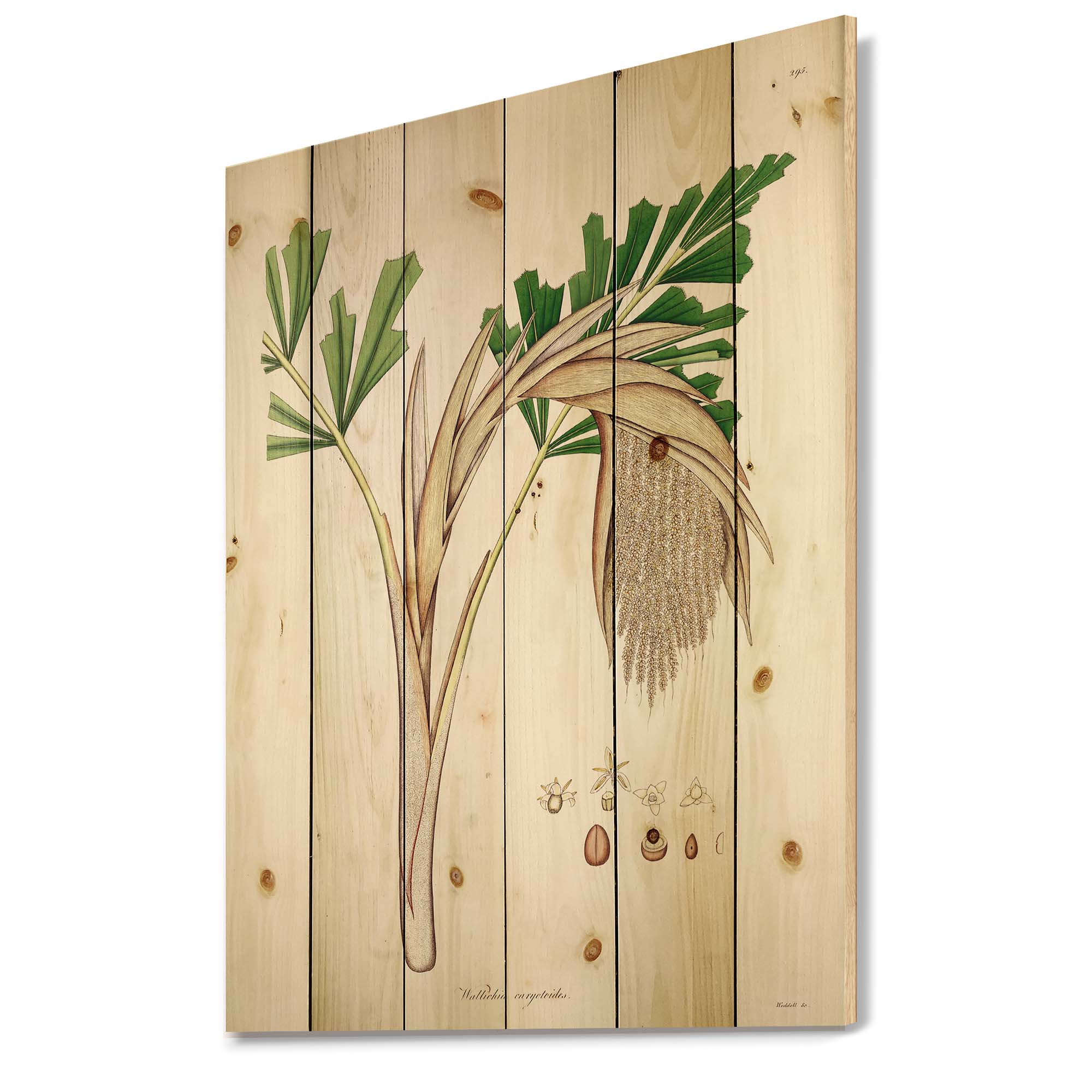 Designart 'Ancient Plant Life XV' Farmhouse Print on Natural Pine Wood