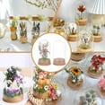 thumbnail image 6 of 10Pcs Dome Decorative Jars 1.8x3.5inch Glass Display Dome Cloche Glass Bell Jar with Cork Base for Flower Storage Specimens Crafts Decorations DIY, 6 of 7