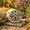 A, variant on Ceramic Bee House Hotel, Natural Printed Pollinator Nesting Habitat with Multi-Sized Holes, Outdoor Garden Shelter for Solitary Bees and Leafcutter Bees