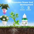 thumbnail image 4 of Plant Resurrection Liquid – Plant Growth Enhancer, Phyto Vitamin Solution, 4 of 5