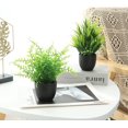 thumbnail image 3 of 2Pcs/3Pcs/4Pcs Fake Plants Potted Small Artificial Plants Indoor Faux Plants in White Pot Greenery for Home Office Bedroom Desk Bathroom Shelf Farmhouse Decoration, 3 of 7