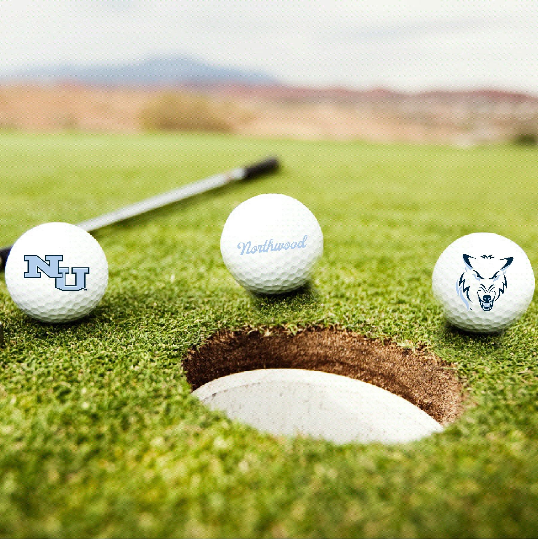 Golf Balls 12-Pack (Dozen) Northwood University Timberwolves Logo Edition Taylormade Distance+