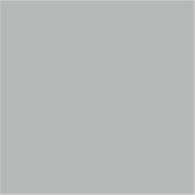 1 oz Acrylic Model Paint Bottle, Silver