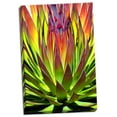 thumbnail image 2 of Gango Home Decor Colorful Agave II by Douglas Taylor (Ready to Hang); One 24x36in Hand-Stretched Canvas, 2 of 4
