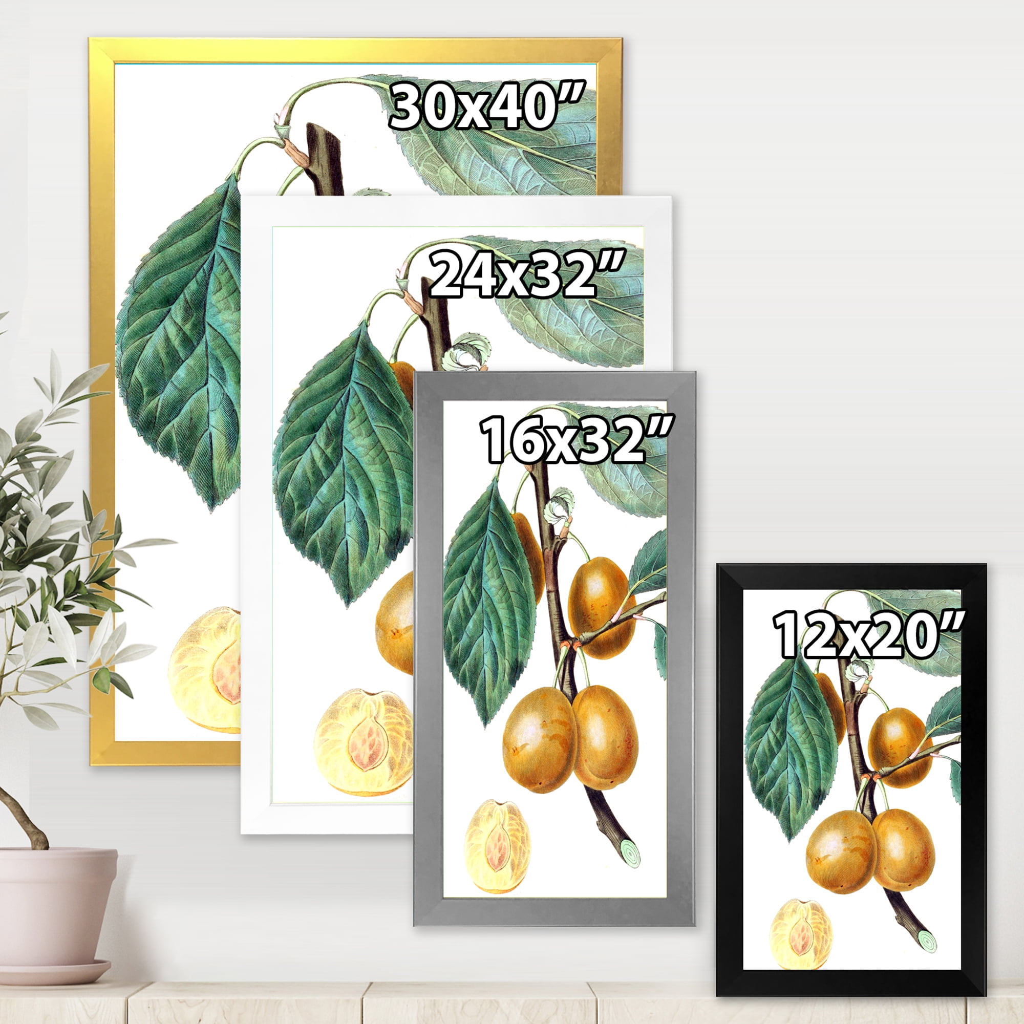 Designart 'Ancient Fruits II' Farmhouse Framed Art Print