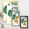 thumbnail image 4 of Designart 'Ancient Fruits II' Farmhouse Framed Art Print, 4 of 4