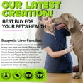 thumbnail image 2 of Oimmal Liver Support for Dogs - 150 Soft Chews with Milk Thistle Extract, Turmeric Curcumin, Choline, Support Dog Liver Function - Beef Flavor, 2 of 10