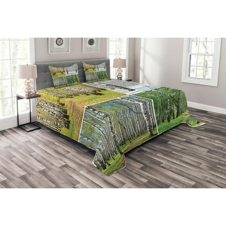 Landscape Bedspread Set, Pathway in Woodland Birch Tree Jungle in the Fall Winter Spring Summer Season, Decorative Quilted Coverlet Set with Pillow Shams Included, Green White, by (Best Bedspreads For Summer)