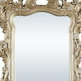 thumbnail image 2 of 56 Inch Wall Mirror Ornate Carving Champagne Gold - Saltoro Sherpi, 2 of 5