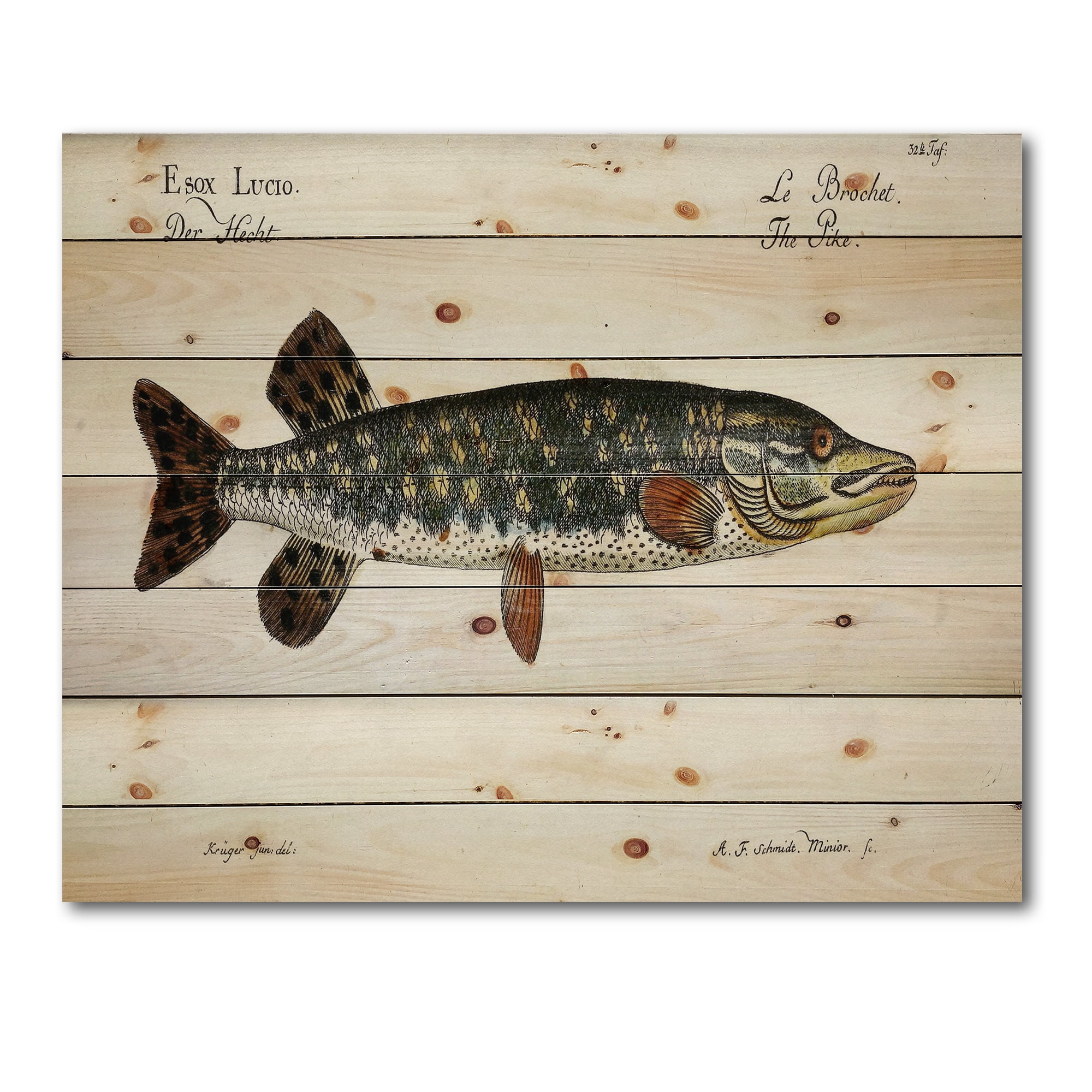 Designart 'Portrait Of A Green Fish On Beige' Nautical & Coastal Print on Natural Pine Wood