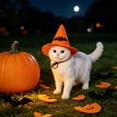 thumbnail image 4 of Cififendec Halloween Pet Witch Hat, 5.91"×5.31", Adjustable Pumpkin Style Costume Accessory for Party Photo Shoot Yard Dress Up Spooky Season Pet Accent, 4 of 5