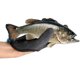 thumbnail image 4 of 1 guante de pesca con liberación magnética, guantes profesionales de pescador para pescar, resistentes a cortes y pinchazos con ganchos magnéticos, guante de caza, 4 of 8