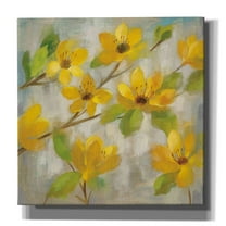 Epic Graffiti 'Golden Bloom II' by Silvia Vassileva, Canvas Wall Art, 37"x37"