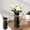 Black, variant on TOUMENY Galvanized Metal Pitcher Vase, Vintage Watering Can Flower Holder Shabby Iron Vase for Home Table Mantel Decor, Rustic Flower Vase Centerpiece for Dining Room Fireplace Shelf, Black