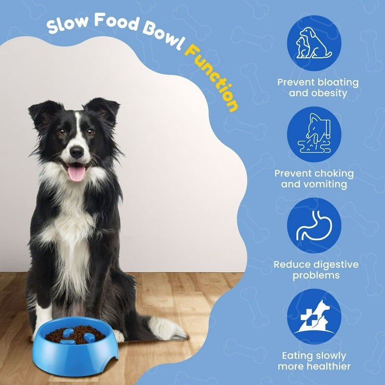Pet Fun Feeder Dog Bowl Slow Feeder, Bloat Stop Dog Food Bowl Maze