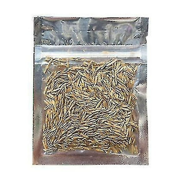 Aquarium Ornament Plant Seeds Fish Tank Landscape Decoration Water Grass Seed Easy To Grow