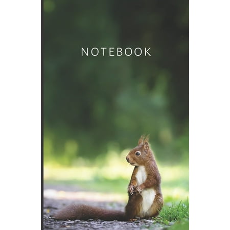 notebook: Discreet PASSWORD BOOK with Tabs Squirrel Password Keeper, Organizer (Websites, e-mail, Phone, Internet Provider,