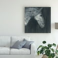 thumbnail image 3 of Trademark Fine Art 'Midnight Horse' Canvas Art by Albena Hristova, 3 of 3
