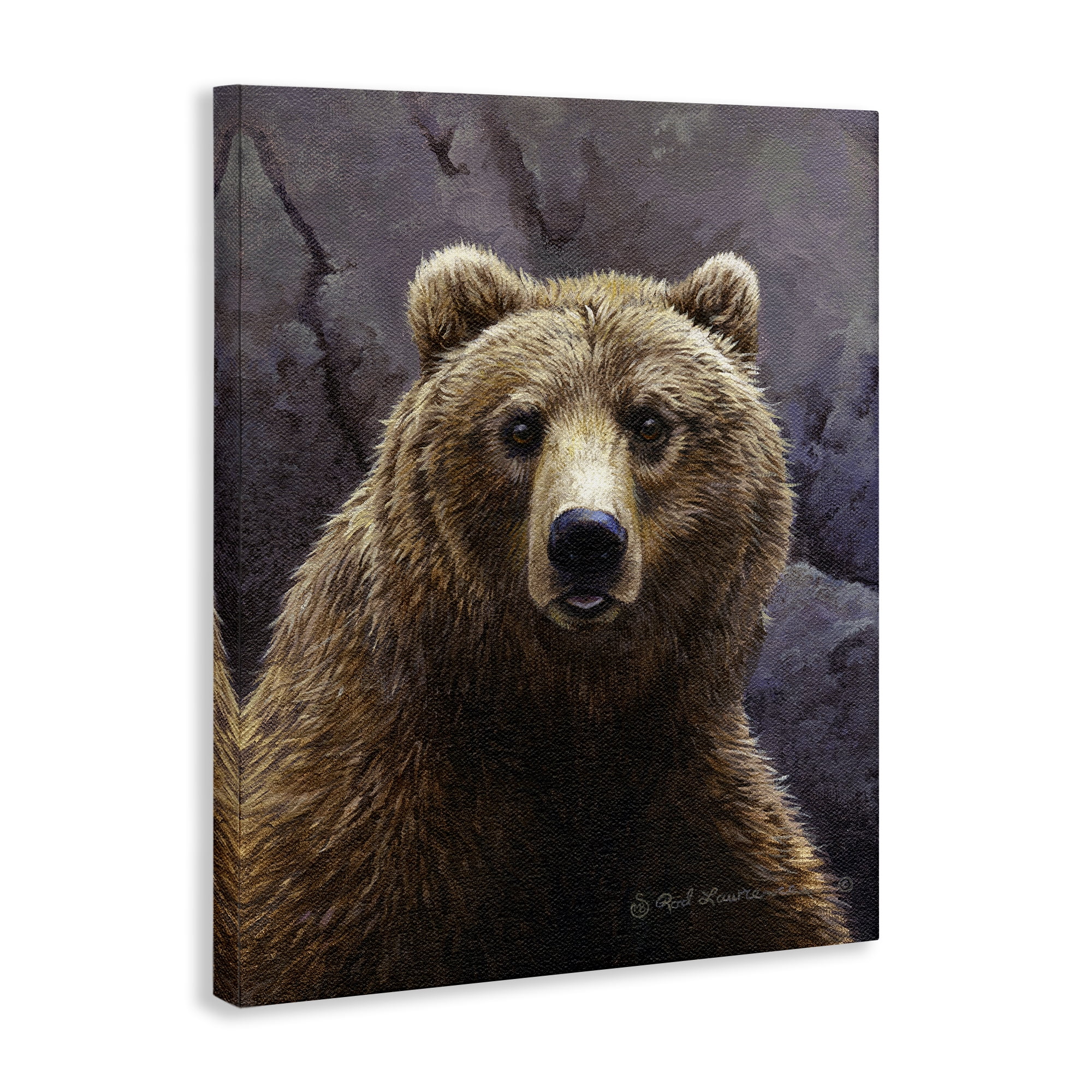 Stupell Industries Surprised Bear Portrait Animals Painting Wrapped Canvas Art Print Wall Art, 30 x 40