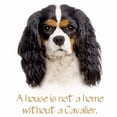 thumbnail image 3 of CafePress - Cavalier King Charles Spaniel T Shirt - Men's Classic Cotton T-Shirts, 3 of 3
