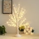 thumbnail image 1 of Lámpara de abedul LED,color blanco cálido, para decoración del hogar, bodas, fiestas de Pascua y Navidad, 1 of 1