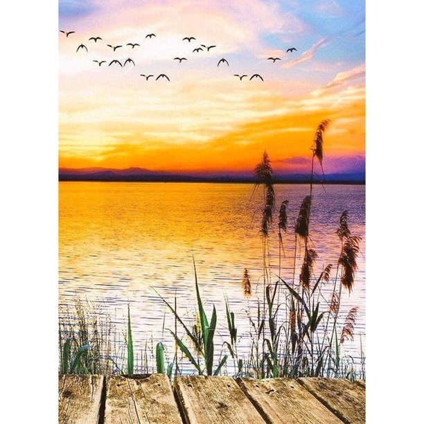 Taladro Pintura Diamante (DE0523) 5D DIY Punto de Cruz Completo Bordado Mosaico (W294) 30x40cm FLhrweasw Nuevo