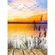 thumbnail image 1 of Taladro Pintura Diamante (DE0523) 5D DIY Punto de Cruz Completo Bordado Mosaico (W294) 30x40cm FLhrweasw Nuevo, 1 of 2