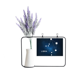 thumbnail image 1 of Signo del Zodiaco Libra constelación Tarjeta de jarrón de lavanda artificial, 1 of 3