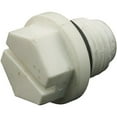 thumbnail image 2 of Waterway 873-E15S1 0.25" Valve Plug, 2 of 3