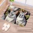 thumbnail image 5 of Animal Non-Slip Polyester Chair Mats and Door Rugs - Machine Washable, 5 of 6