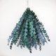 thumbnail image 1 of Namzi -a 10 tallos secos de eucalipto 16-24 pulgadas Suspensión de ducha de eucalipto genuino 100% hecho de hojas frescas de eucalipto, boda, hogar, decoración de granja Decoración de primavera de, 1 of 5